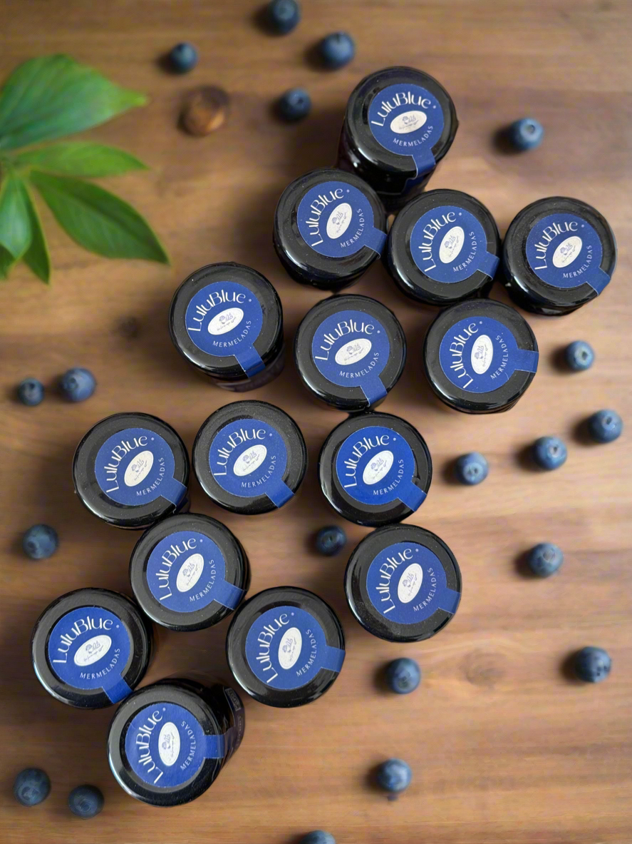 Kit de 4 mini mermeladas 🫐🌺