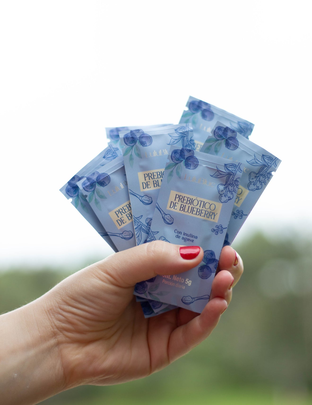 Prebiótico de arándano con inulina de agave 🫐🌱 - 30 sobres